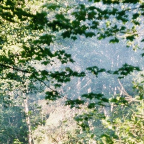 Lohrkraut + Zeitrapha — KuH 2024