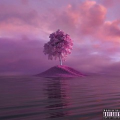 Rockstar lifestyle feat. (Darien)