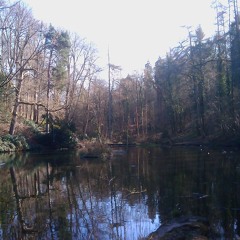 William Faulkner blues