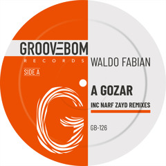 Waldo Fabian - A Gozar (Narf Zayd Remix)