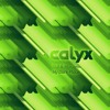 Download Video: Calyx - Out & In (ft. Chimpo)