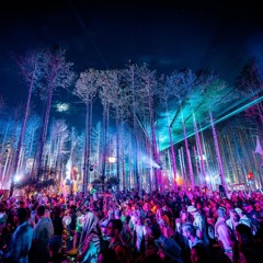 DJ K.I.P.A. Electric Forest Storm Closure GA Campgrounds Set 6-25-2023 (Bass House / Future House)