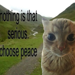 no auto (prod. @suracries )