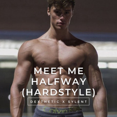 Meet Me Halfway Hardstyle (Sylent X Dexthetic)