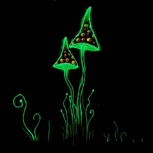 DJ Nois vs DJ Gamma - Rehallucinated