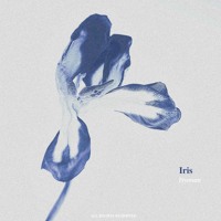 Froman - Iris