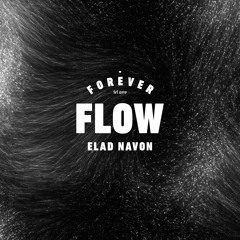 Elad Navon - Flow