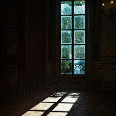 Dialogue of Light and Shadow