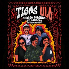 INDIGO FRIENDS SPECIAL - TIGAS ULO