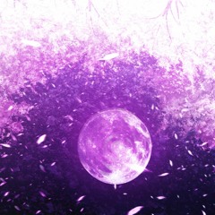 거울 속의 꽃 (The Flower In The Mirror) - TTRM