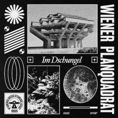 Wiener Planquadrat - Im Dschungel (Radio Edit)