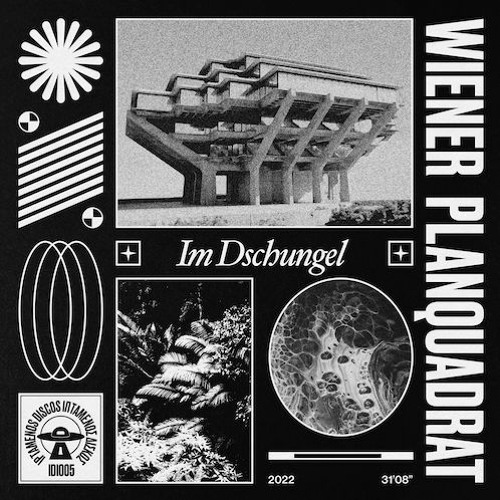 Wiener Planquadrat - Im Dschungel (Radio Edit)