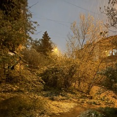 Скалли