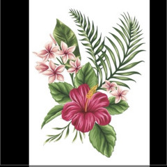 AIWA WEIRES (TONG SENI OMW EI FAMILY)