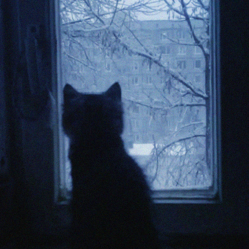 зимний ветер (cl6udly)