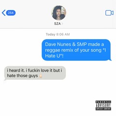 I Hate U (Dave Nunes, SMP Remix)