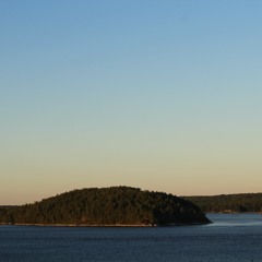 somethin dont smell right