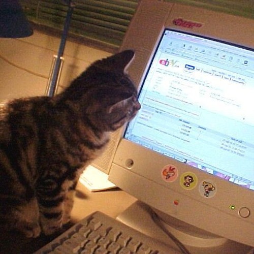 straint - it was always you (korp)