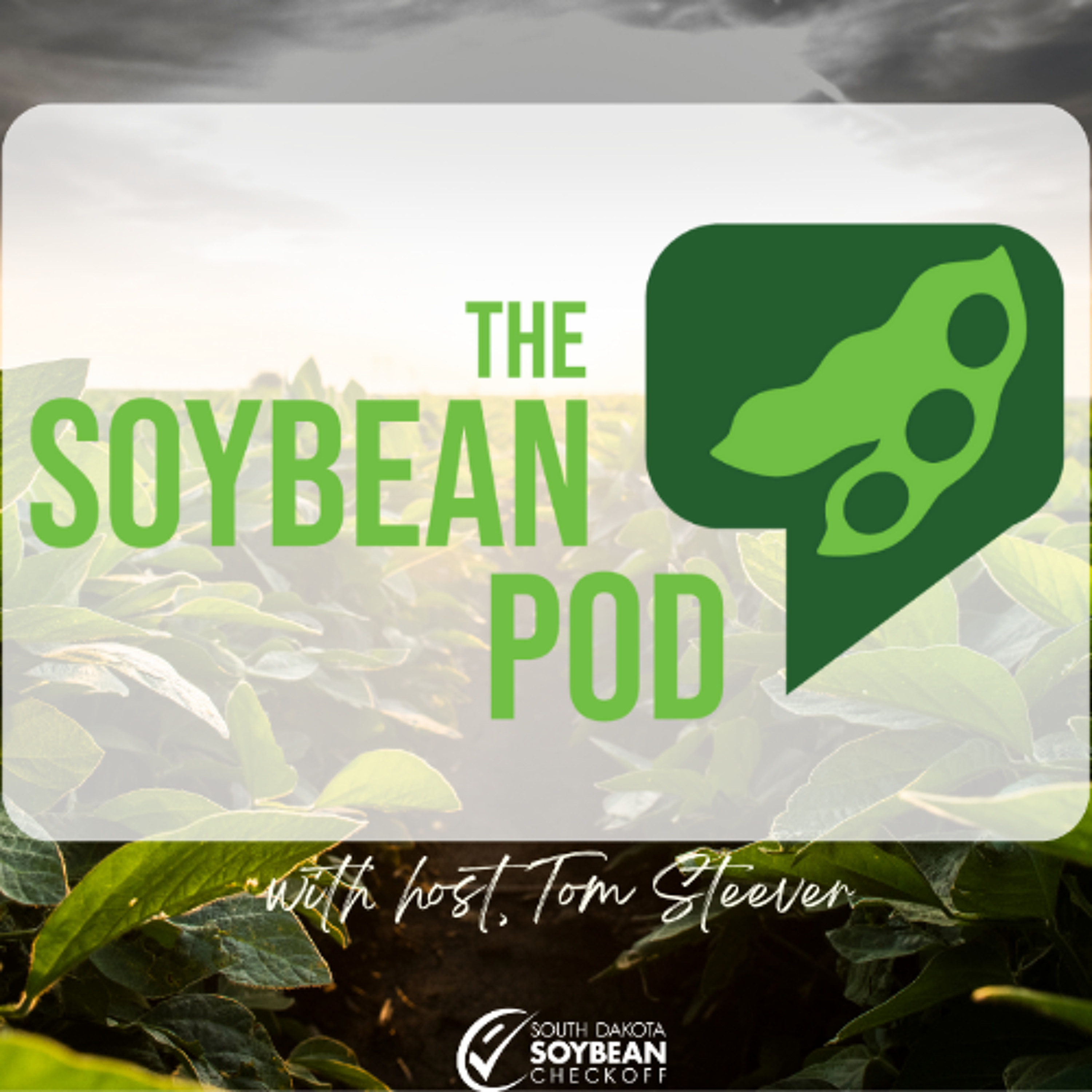 The Soybean Pod