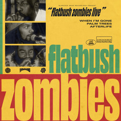 flatbush zombies day of the dead efp flatbush zombies day of the dead efp