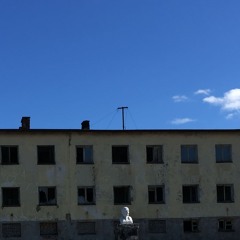 ameliorate