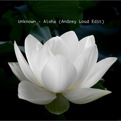 Unknown - Aloha (Andrey Loud Edit)