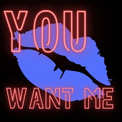 Bazzyb - You Want Me (Laila, Tom Zanetti Remix)