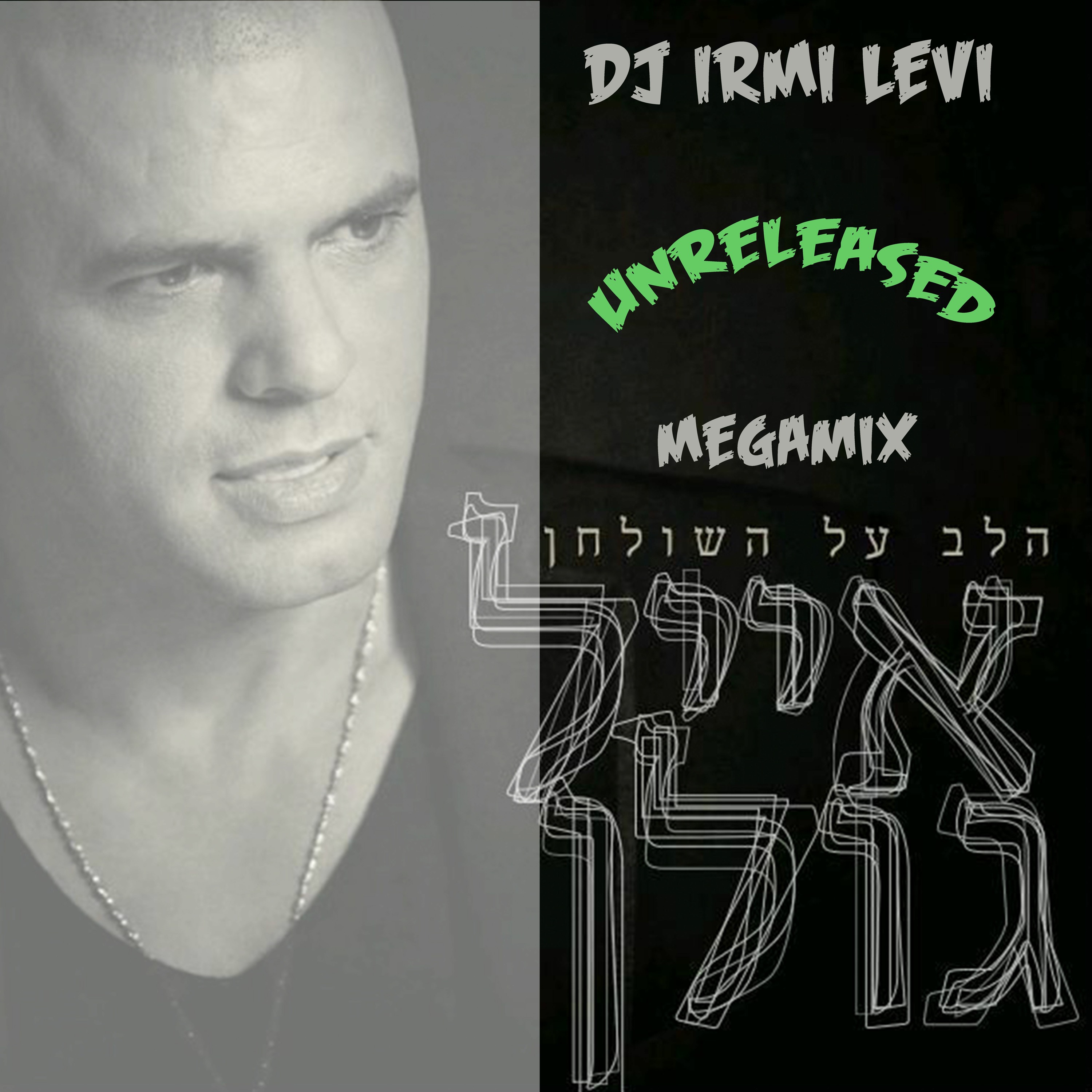 Irmi Levi