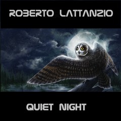 Quiet Night