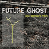 Jon Stickley Trio - "Future Ghost"