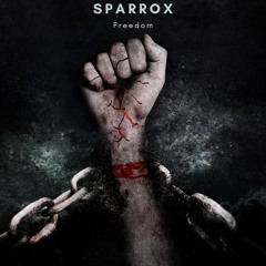 SparroX - Attenzione