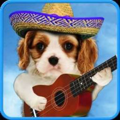 natural teen blooming music mixxx