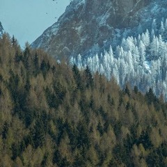 Lofi Hip Hop (65 hours+) - part 3
