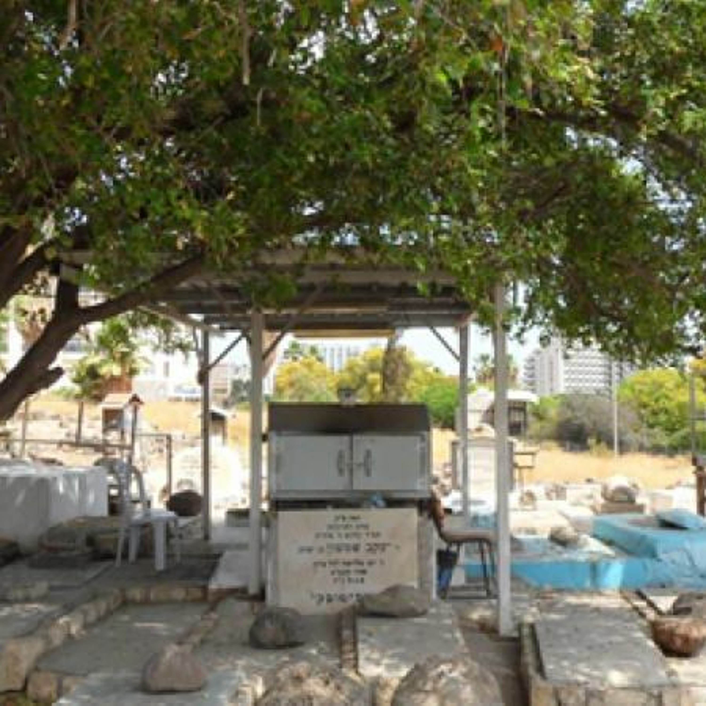 Breslov Torah