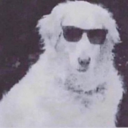 Doo Wop That Dancehall Thing