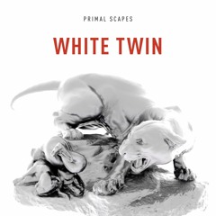 Me and the machine (white twin)