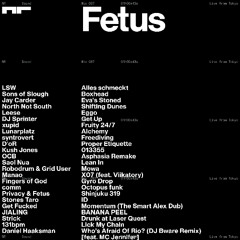 NR Sound Mix 087 Fetus