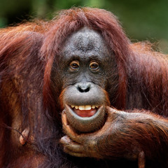 Well You Shouldn't (But You Will)