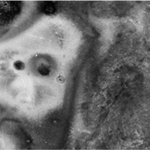 Decayed [Unmixed & Unmastered] - Jaal