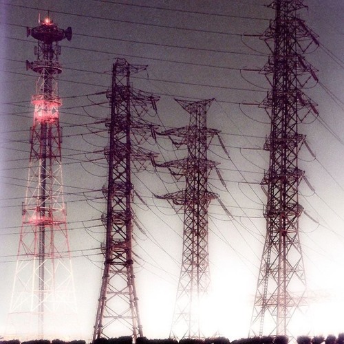 VLXNEMAC- woky flow (EG)