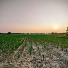 INTERLUDE - 2_11_21, 10.05 AM