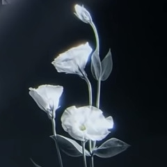 Love Poem