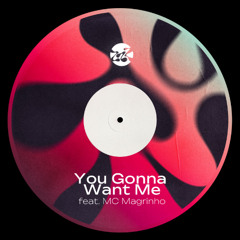 You Gonna Want Me feat. Mc Magrinho