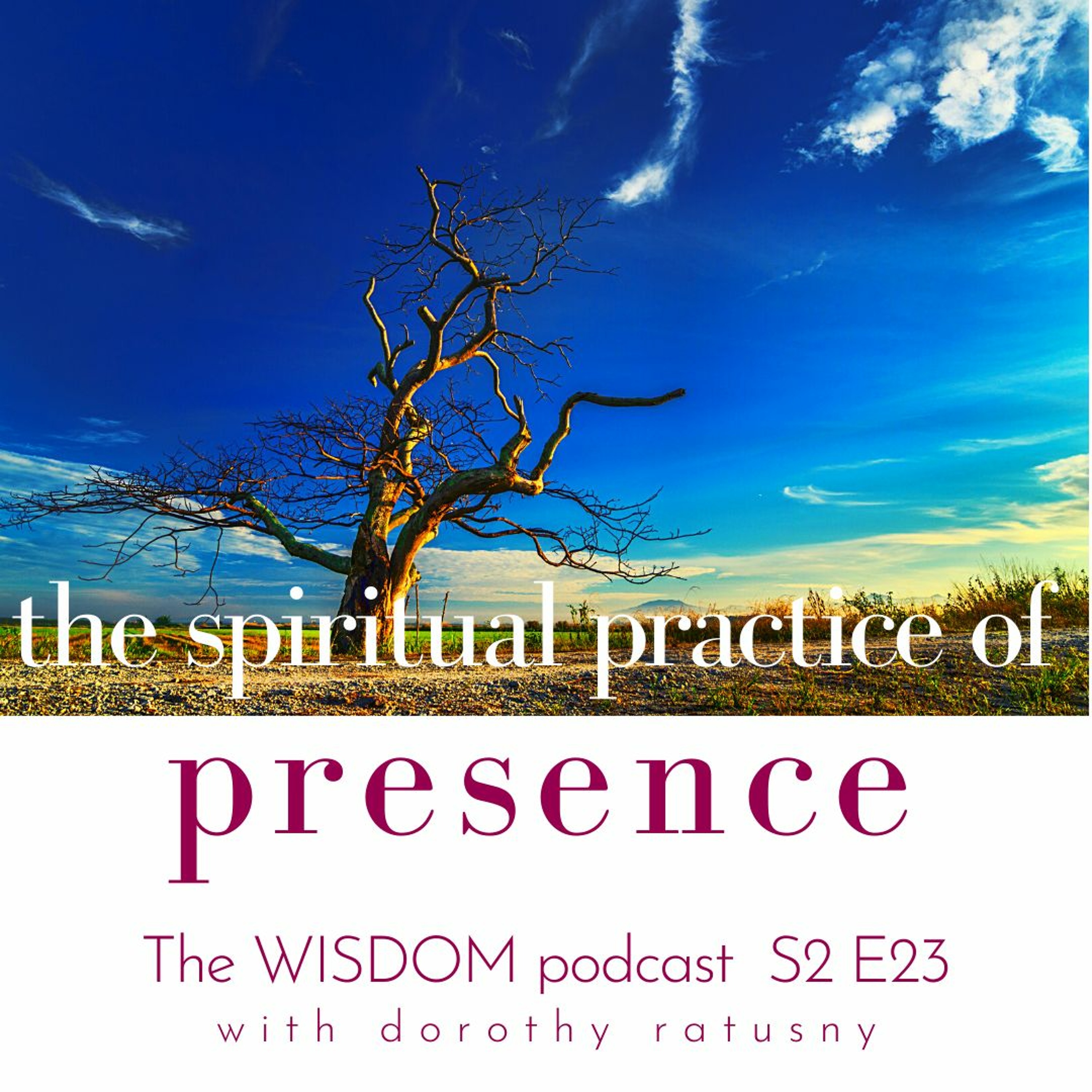 the WISDOM PODCAST