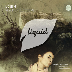 Liquium - Don't Worry