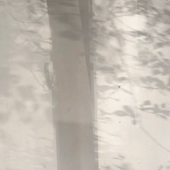 Bruise on Silence