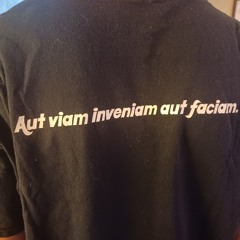 Anemone [live cover Brian Jonestown Massacre]