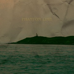 Phantom Limb