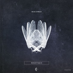 PREMIERE | Niju & Malü - Doodle (apaj Remix)