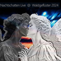 Live@Waldgefluester 2024